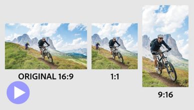 Features Adobe Premiere Elements 2024